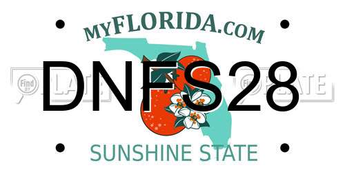 DNFS28 Florida License Plate