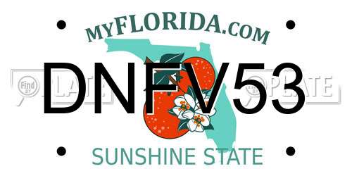 DNFV53 Florida License Plate