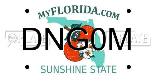 DNG0M Florida License Plate