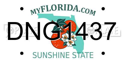 DNG1437 Florida License Plate