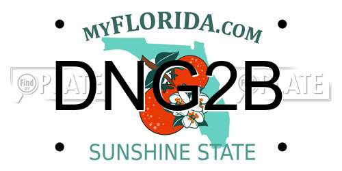DNG2B Florida License Plate
