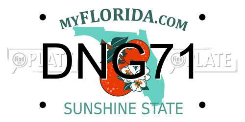 DNG71 Florida License Plate