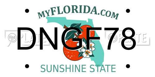 DNGF78 Florida License Plate