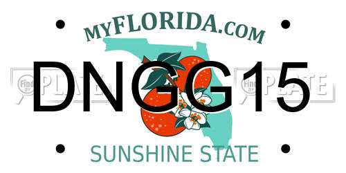 DNGG15 Florida License Plate