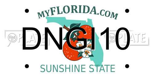 DNGI10 Florida License Plate