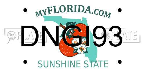 DNGI93 Florida License Plate