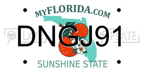 DNGJ91 Florida License Plate