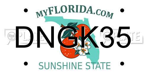 DNGK35 Florida License Plate