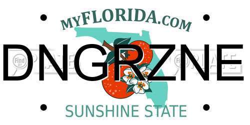 DNGRZNE Florida License Plate