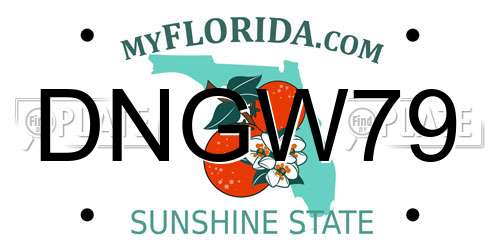DNGW79 Florida License Plate