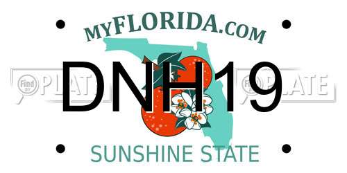 DNH19 Florida License Plate