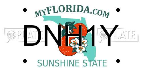 DNH1Y Florida License Plate