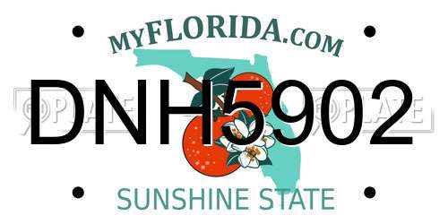 DNH5902 Florida License Plate