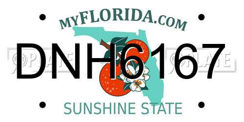 DNH6167 Florida License Plate