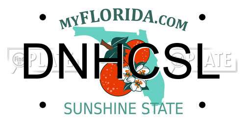 DNHCSL Florida License Plate