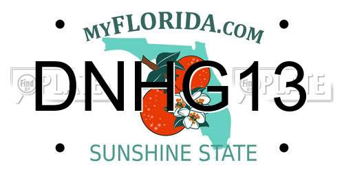 DNHG13 Florida License Plate