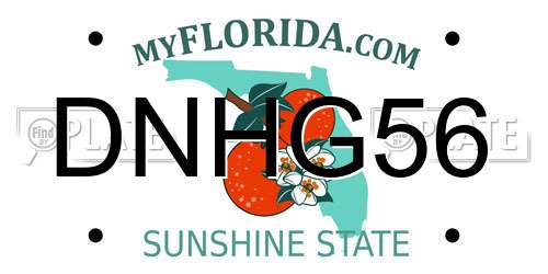 DNHG56 Florida License Plate