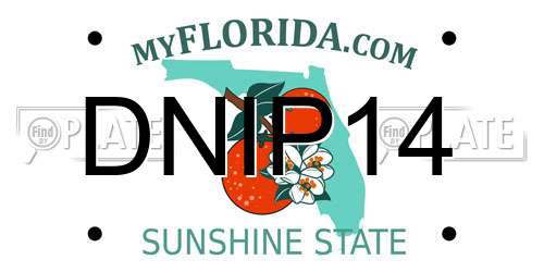 DNIP14 Florida License Plate