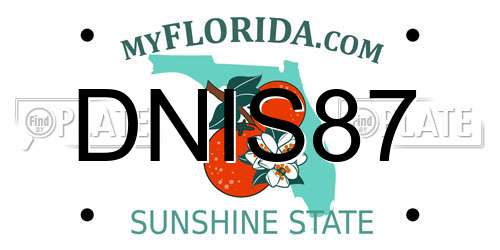 DNIS87 Florida License Plate