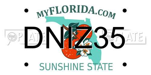 DNIZ35 Florida License Plate