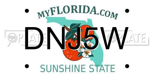 DNJ5W Florida License Plate