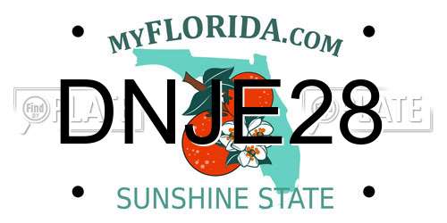 DNJE28 Florida License Plate