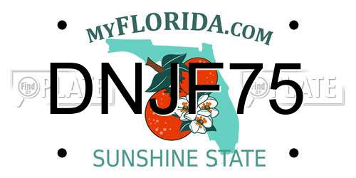 DNJF75 Florida License Plate