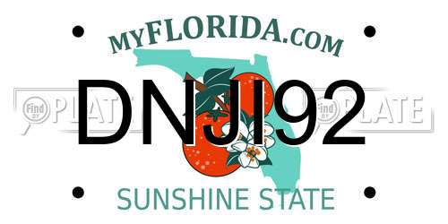 DNJI92 Florida License Plate