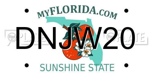 DNJW20 Florida License Plate