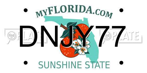 DNJY77 Florida License Plate