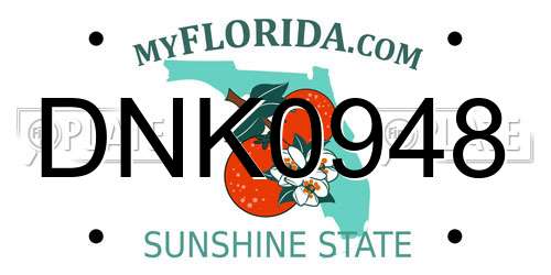 DNK0948 Florida License Plate