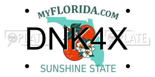 DNK4X Florida License Plate