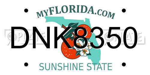 DNK8350 Florida License Plate