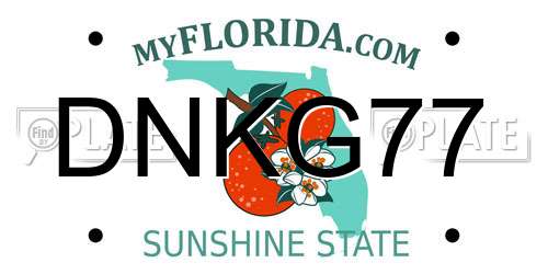 DNKG77 Florida License Plate