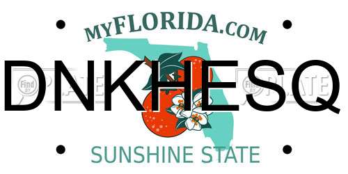 DNKHESQ Florida License Plate