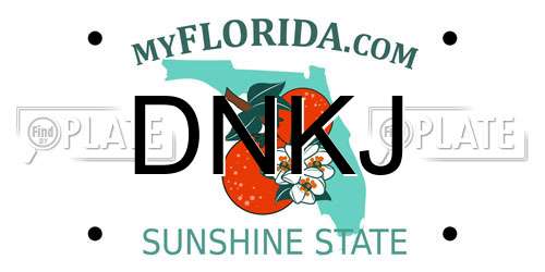 DNKJ Florida License Plate