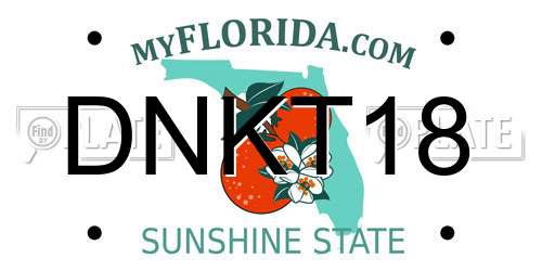 DNKT18 Florida License Plate