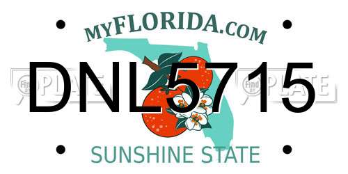 DNL5715 Florida License Plate