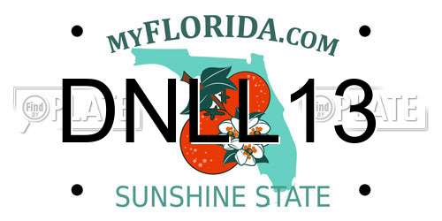 DNLL13 Florida License Plate