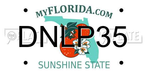 DNLP35 Florida License Plate