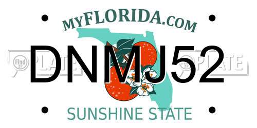 DNMJ52 Florida License Plate