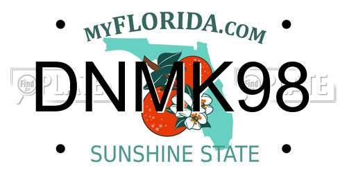 DNMK98 Florida License Plate