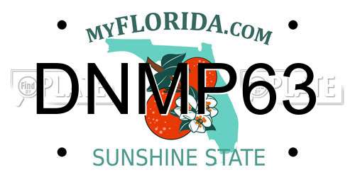 DNMP63 Florida License Plate