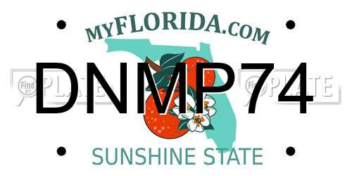 DNMP74 Florida License Plate