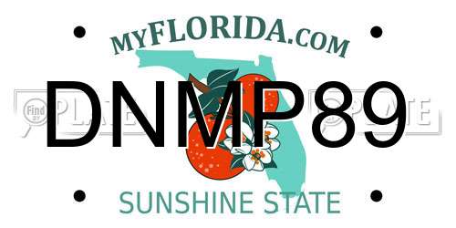 DNMP89 Florida License Plate