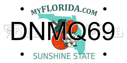 DNMQ69 Florida License Plate
