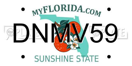 DNMV59 Florida License Plate