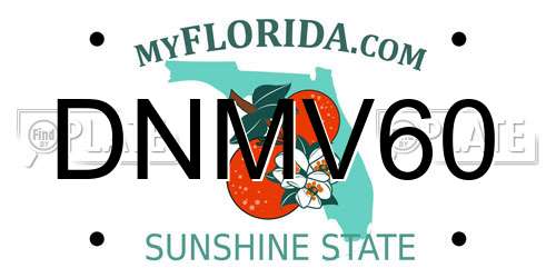 DNMV60 Florida License Plate