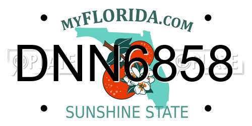 DNN6858 Florida License Plate