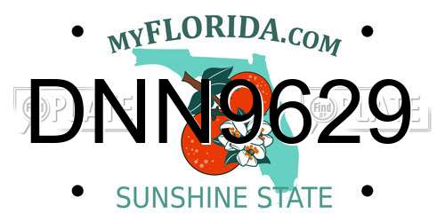 DNN9629 Florida License Plate